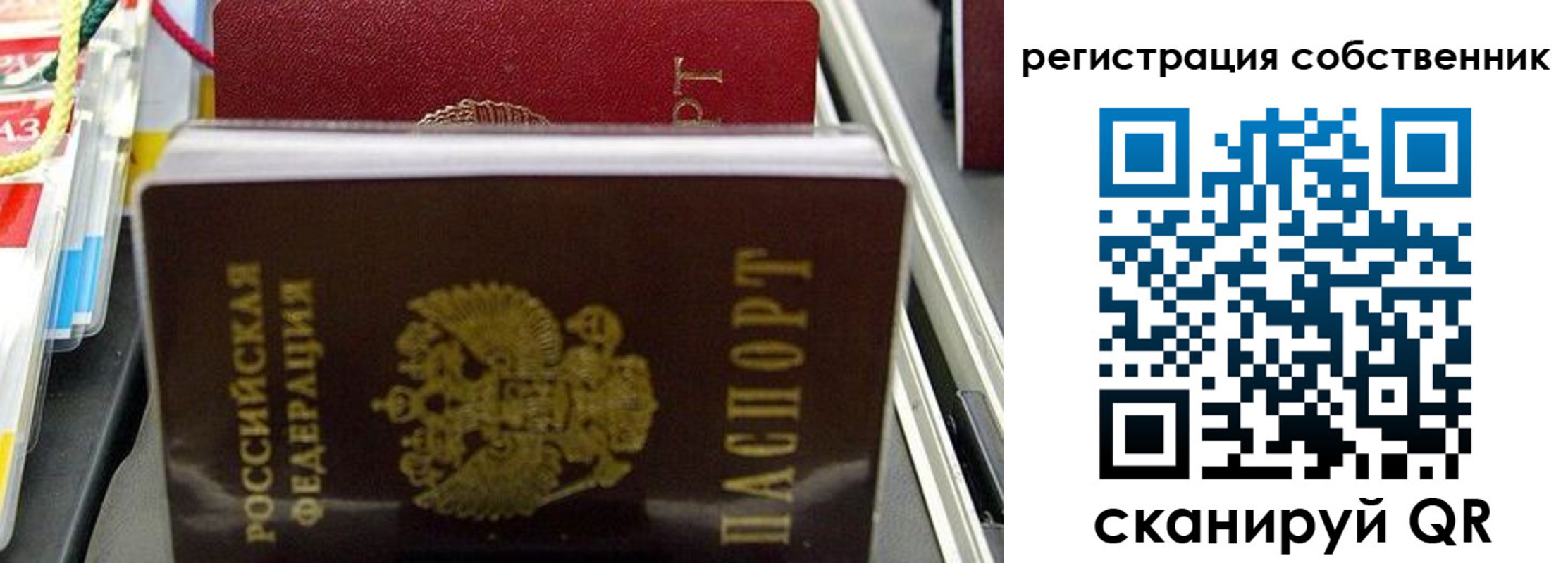 временная регистрация поиск в Николаевске